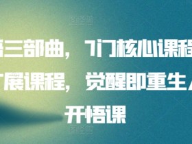 人生开悟课：7门核心+15门扩展课程，觉醒重生必学开悟三部曲-54创业网