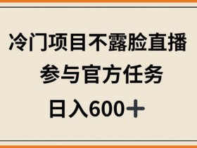 不露脸直播冷门项目：参与官方任务日赚600+，轻松赚钱秘籍大公开-54创业网