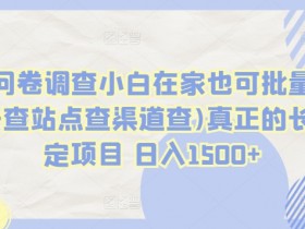 国外问卷调查赚钱：小白在家批量操作日入1500+，长久稳定项目揭秘-54创业网