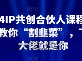 2024IP共创合伙人课程：手把手教你打造爆款IP，轻松成为行业大佬-54创业网
