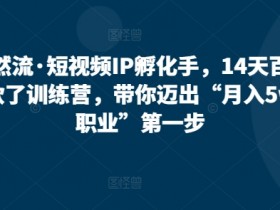 14天百万爆款训练营：短视频IP孵化手带你月入5w新职业-54创业网