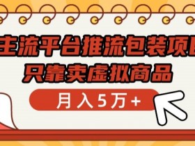 揭秘主流平台推流包装项目：卖虚拟商品轻松月入5万+实战教程-54创业网