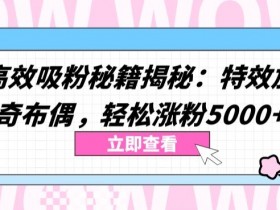特效加持与神奇布偶：两个高效吸粉秘籍，轻松涨粉5000+-54创业网