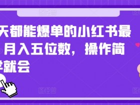 2024小红书爆单秘籍：天天爆单月入5位数，新手一学就会-54创业网