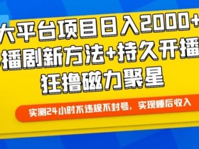 快手播剧新玩法：日入2000+磁力聚星持久开播技术大揭秘-54创业网