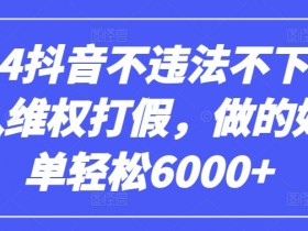 2024抖音维权打假0投入轻松赚6000+：不违法不下单实战揭秘-54创业网