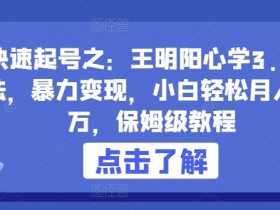 王明阳心学3.0玩法：暴力变现保姆教程，小白轻松月入过万【揭秘】-54创业网