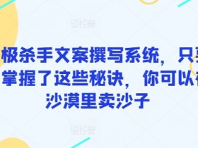 沙漠卖沙秘诀：终极杀手文案撰写系统让你销量翻倍-54创业网