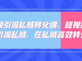 短视频精准引流私域转化课：高效涨粉变现秘籍-54创业网