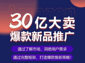 亚马逊爆款推广SOP：30亿大卖新品实操案例，可复制爆款打造攻略-54创业网
