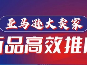 亚马逊大卖家新品推广秘籍：高效打造百万美金爆款单品-54创业网