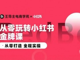 王导小红书电商运营实操课：零基础入门到精通，手把手教你打造爆款店铺-54创业网