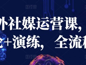 海外社媒运营实战课：0基础掌握全流程+实操演练-54创业网