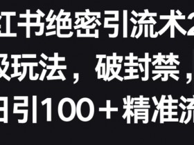 小红书引流新招2.0：突破封禁日引100+精准流量实战教程-54创业网