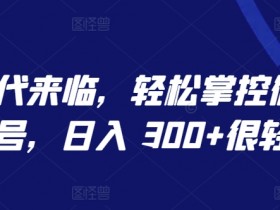 AI时代微信视频号赚钱秘籍：日入300+的轻松方法大揭秘-54创业网