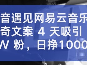 抖音+网易云音乐4天吸粉5W：日赚1000+的爆款文案秘籍大公开！-54创业网