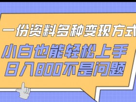 小白也能日入800：揭秘一份资料的5种变现方式-54创业网