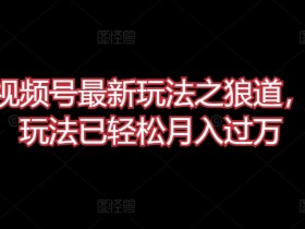 微信视频号狼道玩法：揭秘轻松月入过万的最新技巧-54创业网
