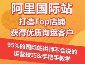 阿里国际站运营秘籍：95%讲师不会的Top店铺打造技巧，轻松获取优质询盘-54创业网