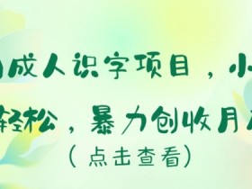 成人识字项目冷门暴利：小白轻松上手，月入5w+赚钱秘籍-54创业网