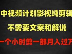 影视剪辑月入过万？纯剪无解说1小时1部，100%原创秘诀大公开-54创业网