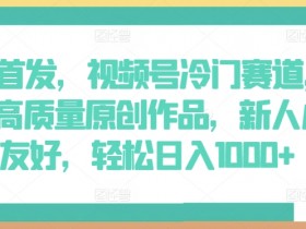 AI视频号冷门赛道：新手用AI制作原创作品，轻松日入1000+【全网首发】-54创业网