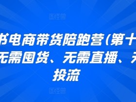 小红书电商带货陪跑营11期：0囤货0直播0投流，新手也能轻松赚钱-54创业网