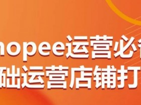 Shopee运营教程：0-1打造高转化店铺的必备基础与进阶技巧-54创业网