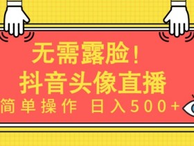 AI头像直播赚钱：无需露脸日入500+，新手小白轻松操作秘籍-54创业网