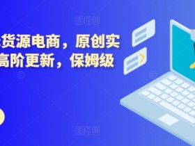 拼多多无货源电商实操：原创高阶技术+保姆级教程，新手快速赚钱-54创业网