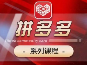 2024拼多多运营推广全攻略：5大模块从基础到玩法速成爆单-54创业网
