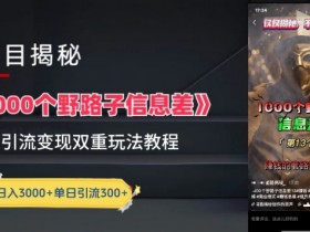 野路子信息差赚钱教程：最新引流变现玩法拆解揭秘-54创业网