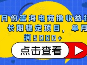 4月蓝海电商赚钱技术：长期稳定月入5000+的实操项目揭秘-54创业网
