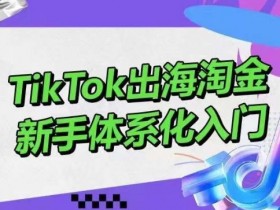 TikTok出海淘金：零基础入门短视频直播带货，新手快速变现指南-54创业网