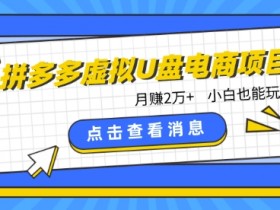拼多多虚拟U盘赚钱项目：新手小白轻松月入2万+的电商红利玩法-54创业网