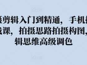 手机摄影拍摄剪辑教程：从入门到精通，掌握构图调色与高级剪辑技巧-54创业网
