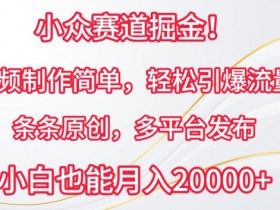 小众视频制作掘金：原创多平台发布，轻松引爆流量秘诀-54创业网