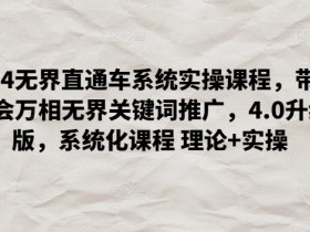 2024无界直通车4.0升级版：万相无界关键词推广系统课，理论+实操速成-54创业网