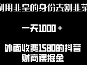 非皇割韭菜日赚1000+：详细资源揭秘与实操教程-54创业网