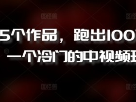 冷门中视频玩法揭秘：5个作品轻松跑出100W播放-54创业网