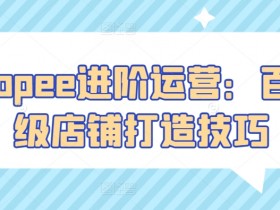 Shopee百万级店铺运营技巧：进阶打造爆款与流量秘籍-54创业网
