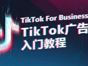 TikTok广告投放教程：0基础入门到精通全流程指南-54创业网