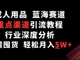 成人用品蓝海赛道：无需囤货月入5W+的引流教程与行业深度揭秘-54创业网