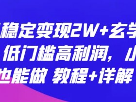 玄学项目轻松月入2W+：低门槛高利润教程，新手小白快速上手赚钱秘籍-54创业网