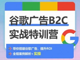 谷歌广告B2C投放技巧：从0-1搭建高转化账户实战（500+账户经验）-54创业网