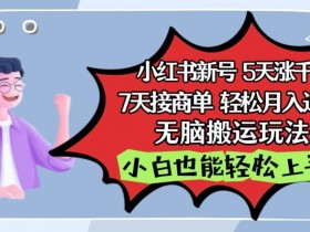 影视泥巴追剧5天涨千粉7天接商单：小红书无脑搬运玩法，轻松月入过万揭秘-54创业网