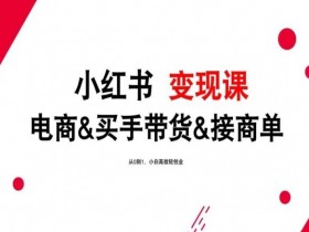 2024小红书变现课：电商买手带货接商单，0基础小白轻创业速成指南-54创业网