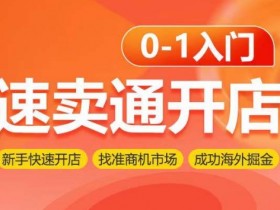 速卖通新手开店指南：0-1快速入门 精准选品海外掘金-54创业网