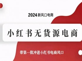 2024小红书无货源电商新风口：第一批抢占红利，轻松赚钱攻略-54创业网