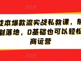 淘宝低成本爆款打造课：0基础速成电商运营，7天复制爆款实操-54创业网